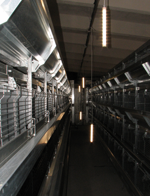 udb14-rec91-img177.jpg